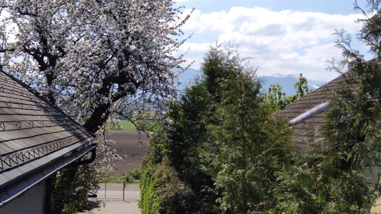 Appartement Karawankenblickstrasse Κλάγκενφουρτ Εξωτερικό φωτογραφία